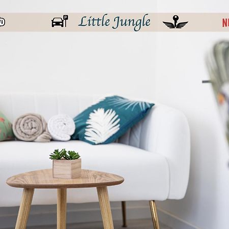 Appartement Little Jungle - T2 Avec Parking à Vierzon Extérieur photo