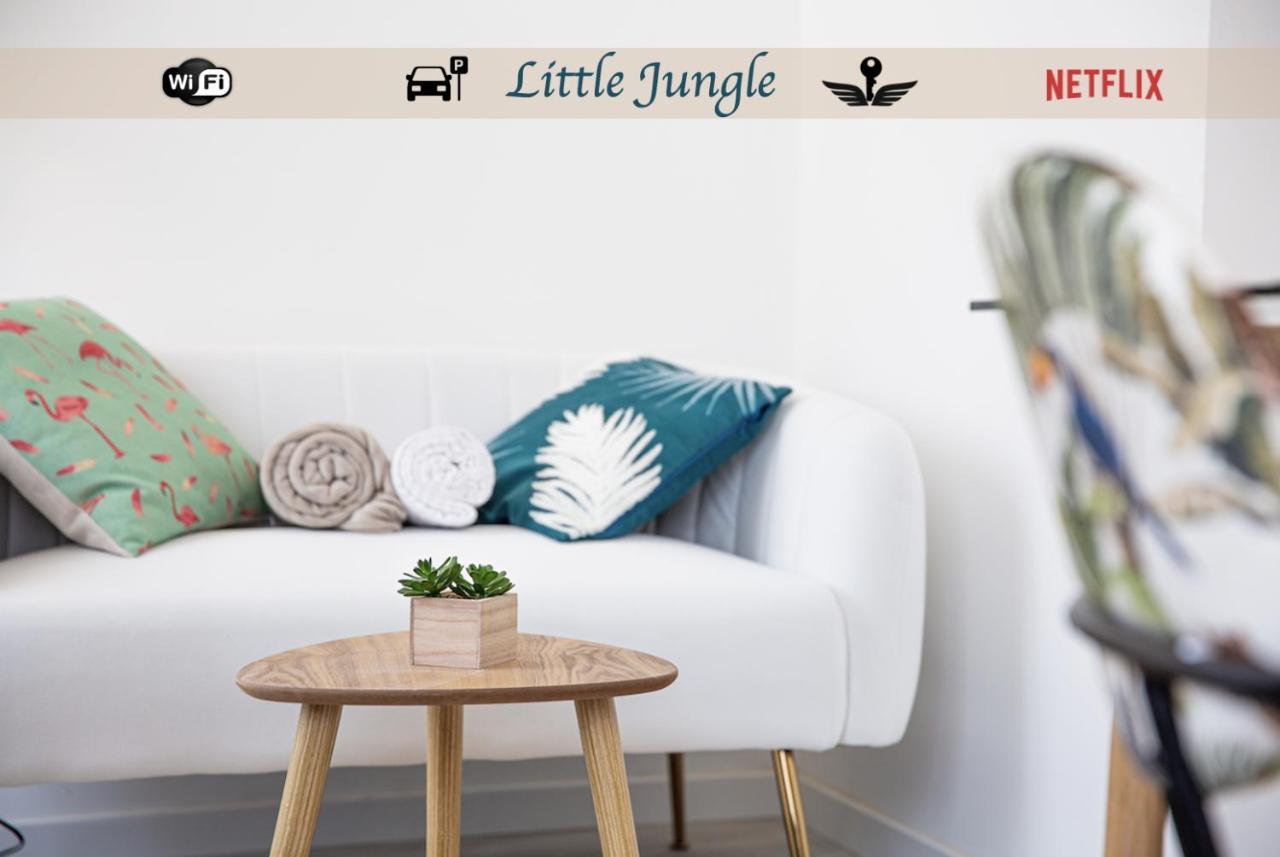 Appartement Little Jungle - T2 Avec Parking à Vierzon Extérieur photo